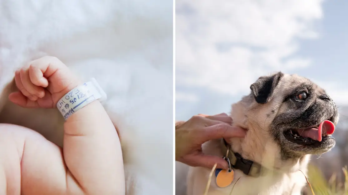 Couple spark debate after revealing they don’t know whether to give child name they originally wanted for ‘future dog’