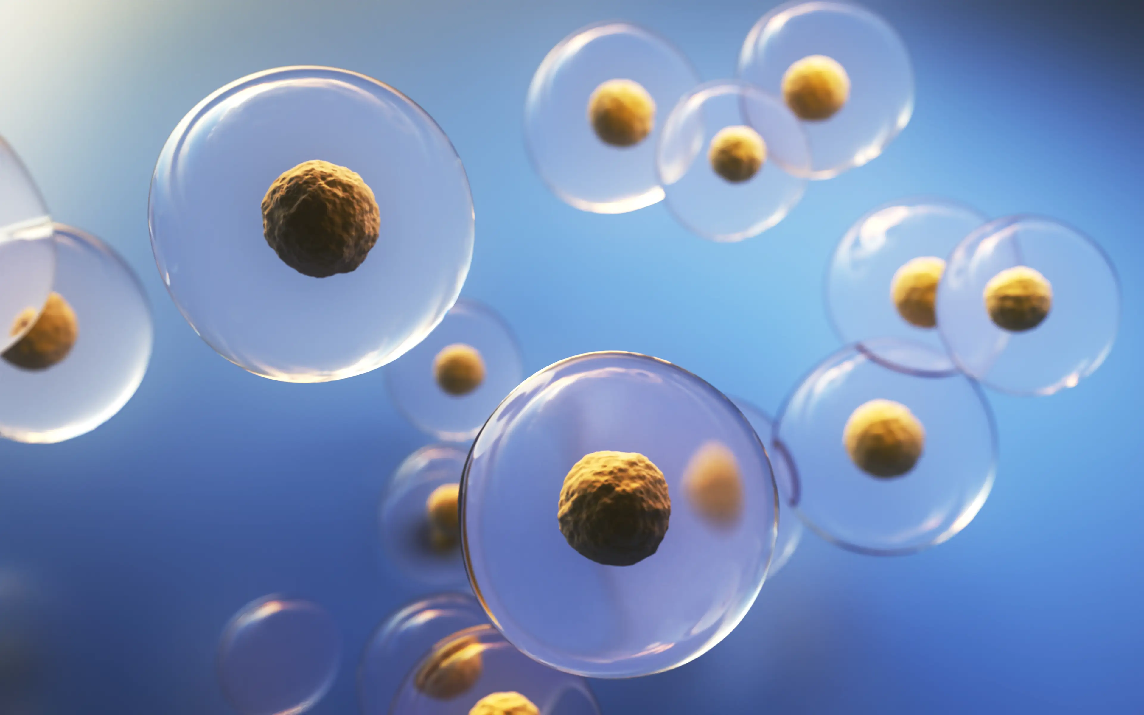 Seven people across three states in the US have fallen ill with E. coli food poisoning linked to raw cheese (Getty Stock Images)