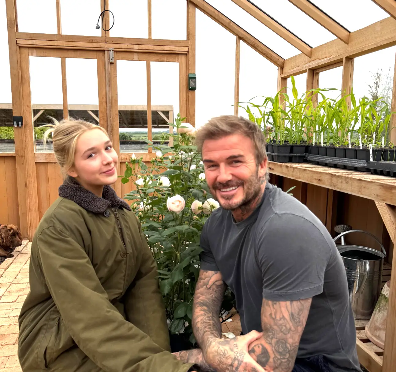 Proud dad David recently shared a post celebrating his children (Instagram/@davidbeckham)