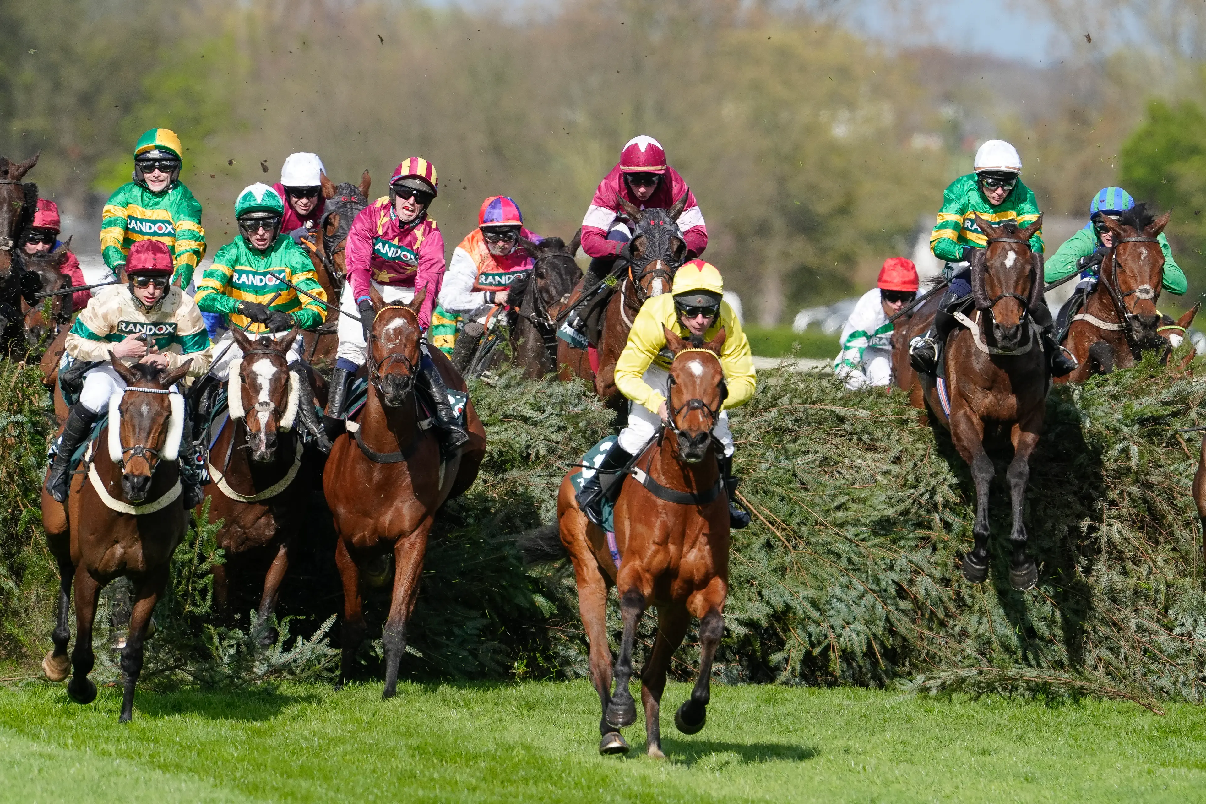 Toby McCain-Mitchell was handed a 10-day suspension for his failure to stop Top Of The Bill, who required treatment from racecourse vets after his fall at the final fence during the Grand National (Alan Crowhurst/Getty Images)
