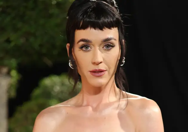 However, others leapt to Perry's defence (Cindy Ord/VF25/Getty Images for Vanity Fair)