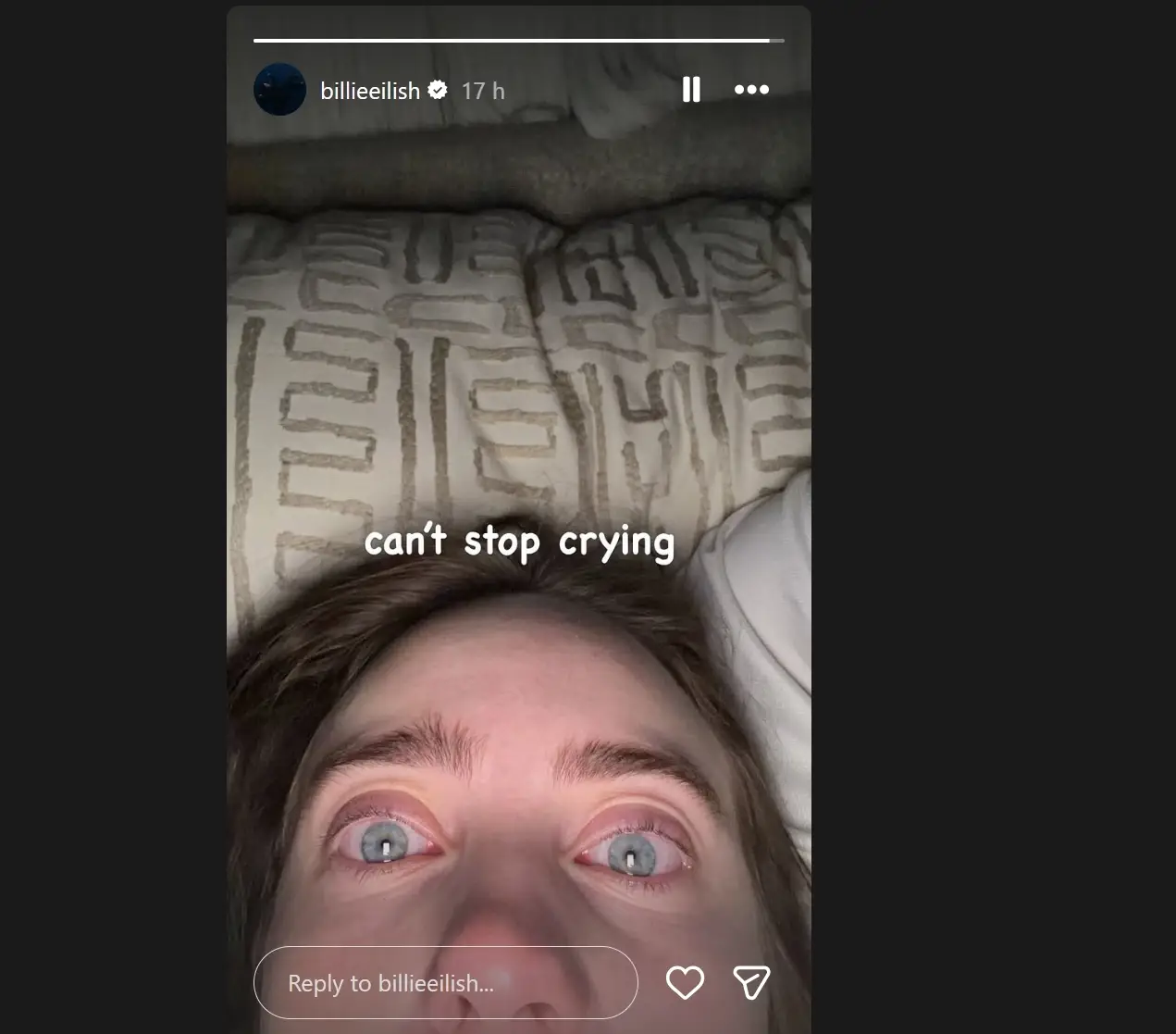 She made her feelings clear (Instagram/billieeilish)