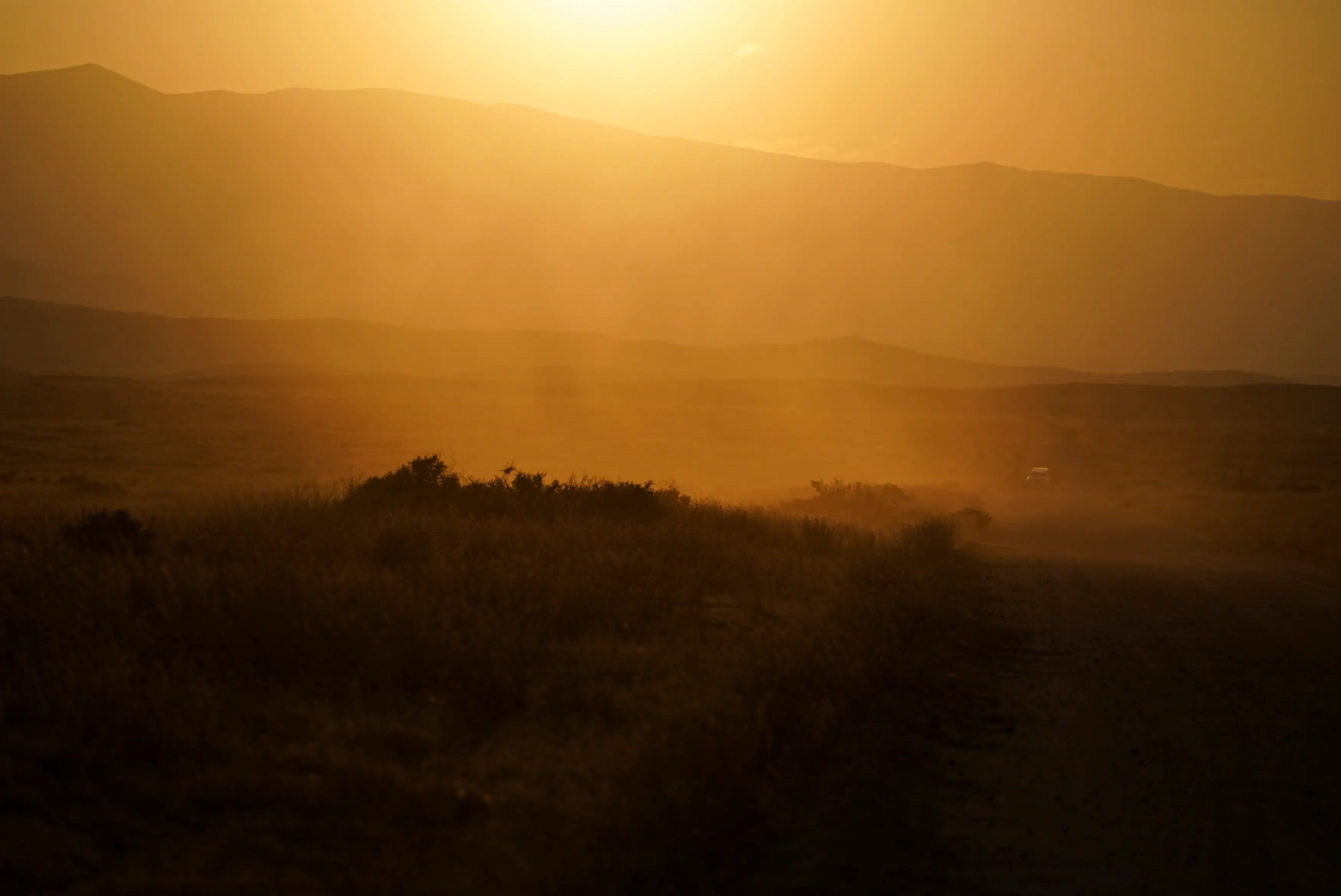 Experts say climate change may be to blame (Carolyn Van Houten/The Washington Post via Getty Images)
