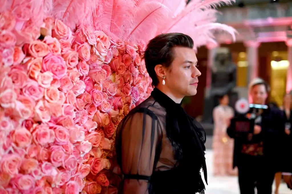 Harry Styles has been accused of 'queerbaiting' over the years with his fashion choices (Photo by Matt Winkelmeyer/MG19/Getty Images for The Met Museum/Vogue)