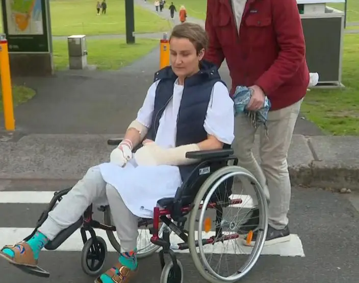 Elle needed surgery after the dog attack.