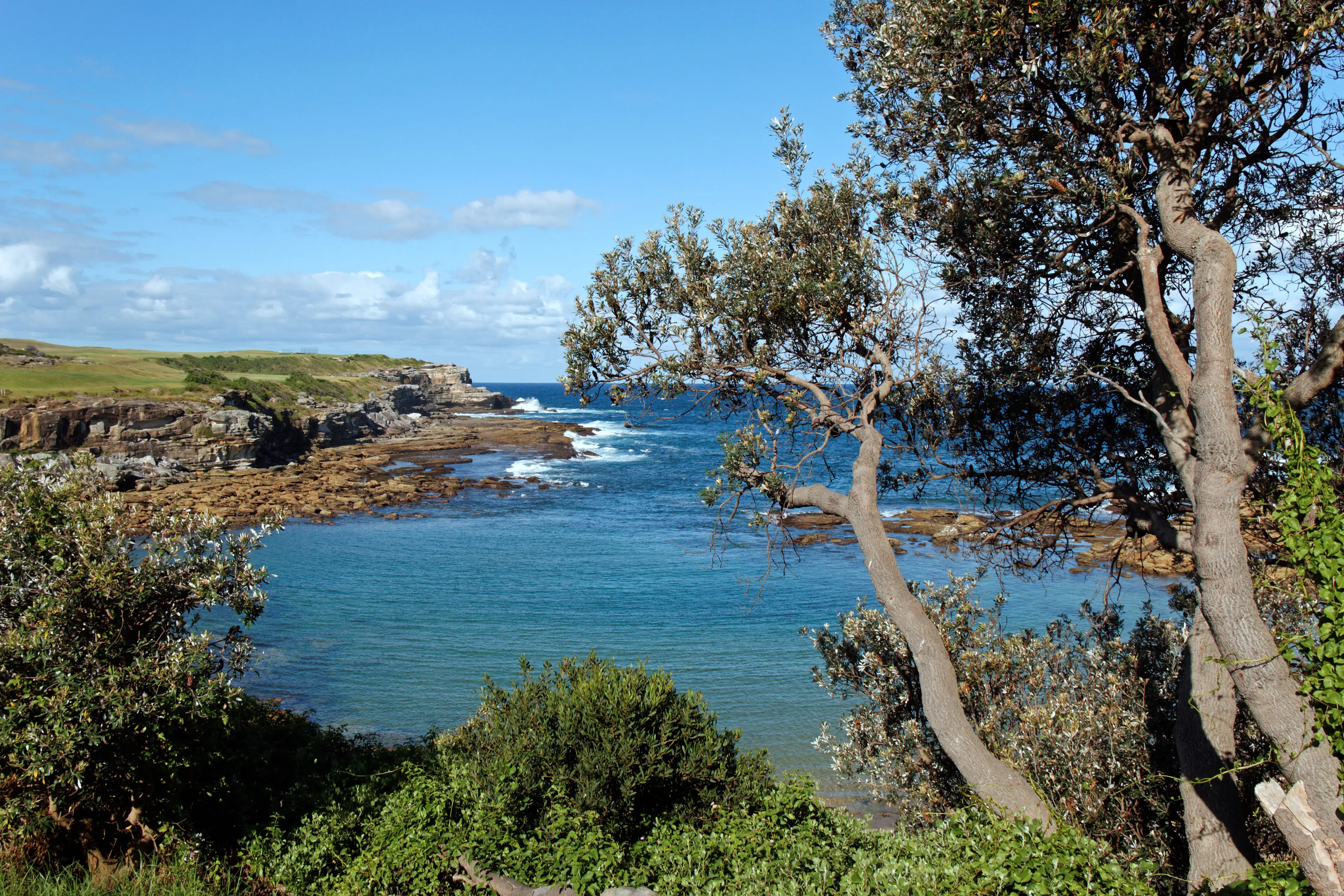 Simon was swimming in Little Bay, Sydney (
