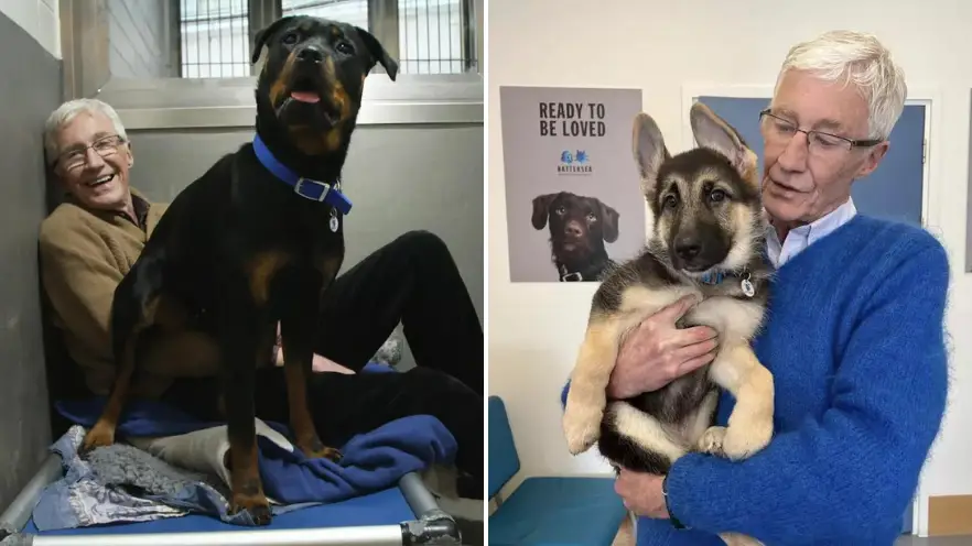 ITV/Instagram/@paulogrady