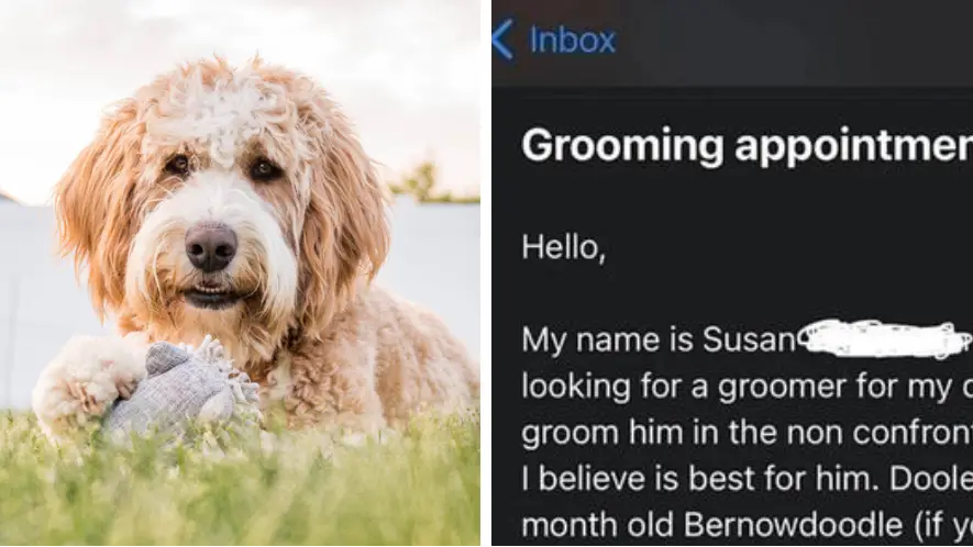 Cavan Images/Getty Images / Reddit