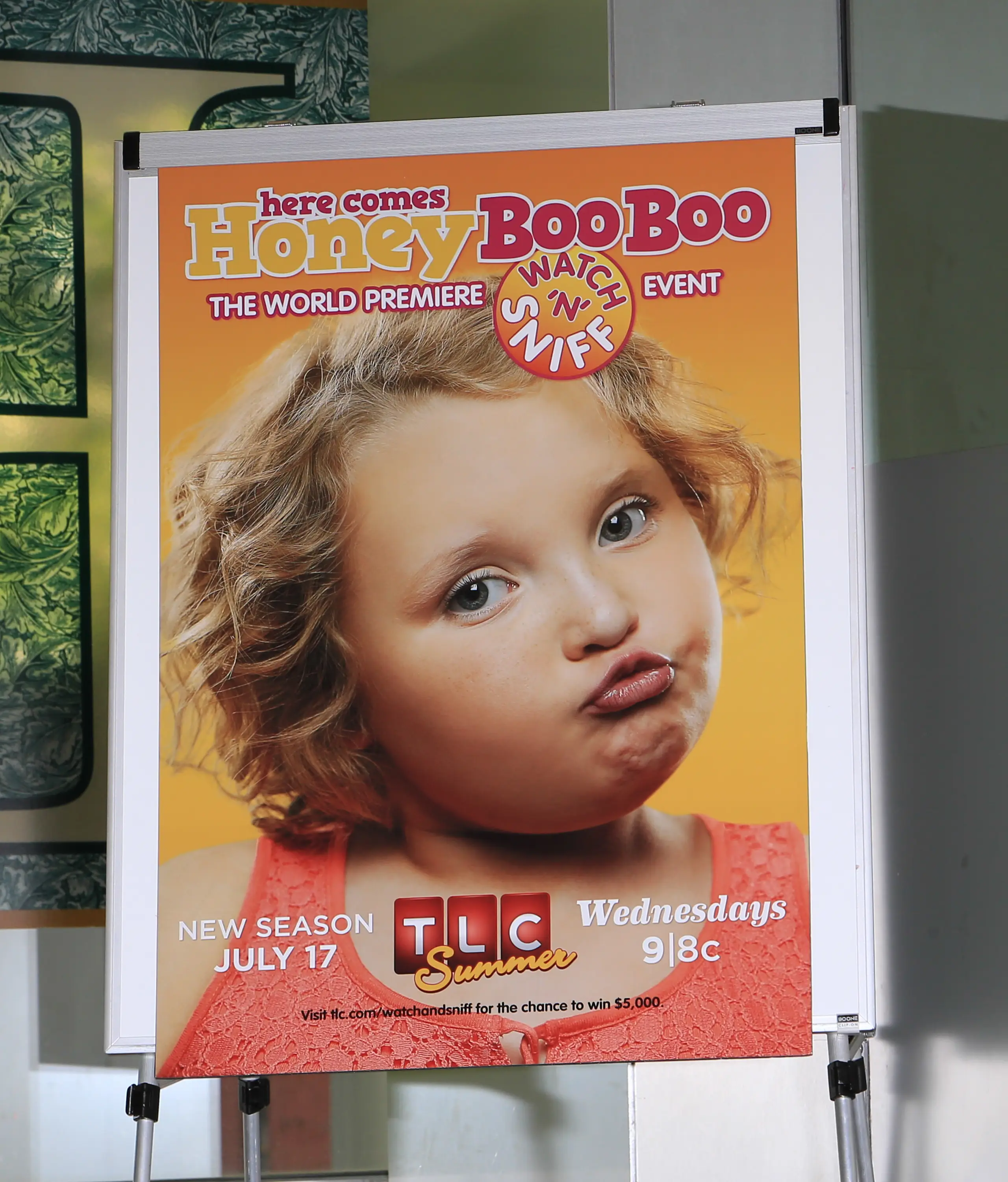 Alana Thompson's appearance on Toddlers and Tiaras landed them a reality TV show, Here Comes Honey Boo Boo (Charles Norfleet/FilmMagic)