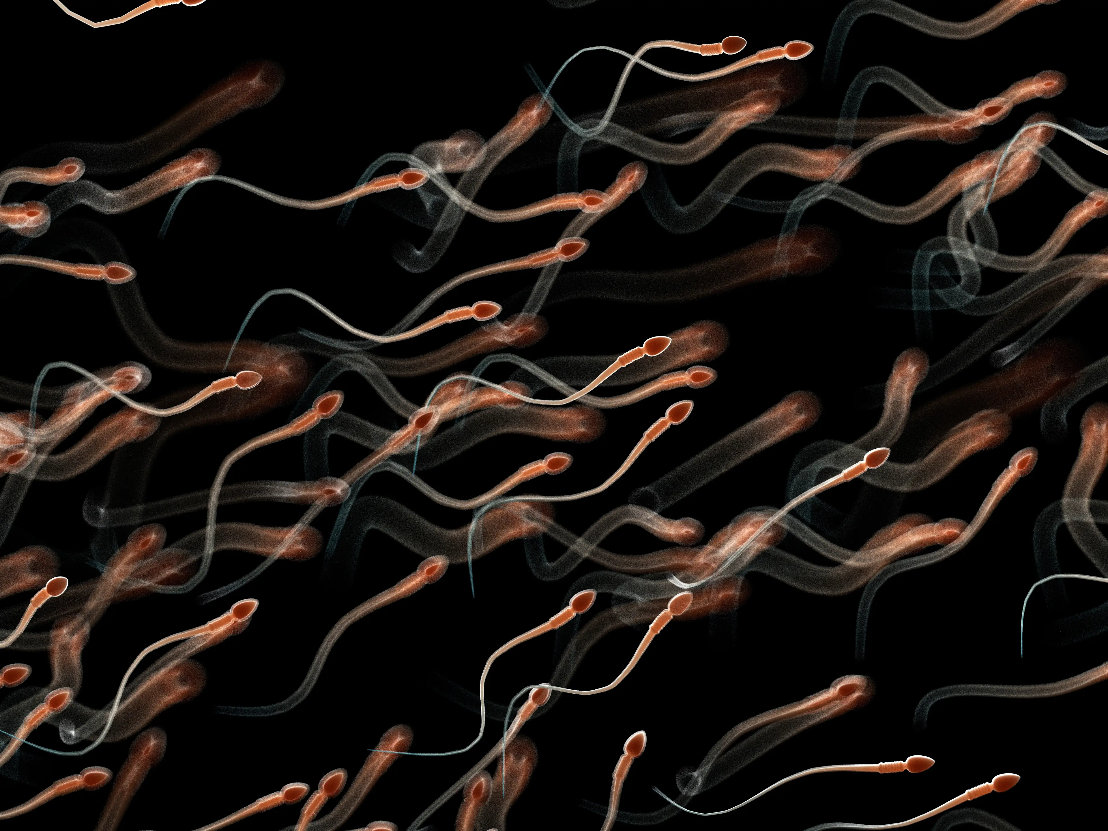 Experts say repeated heat exposure could impact sperm production (Getty Images)