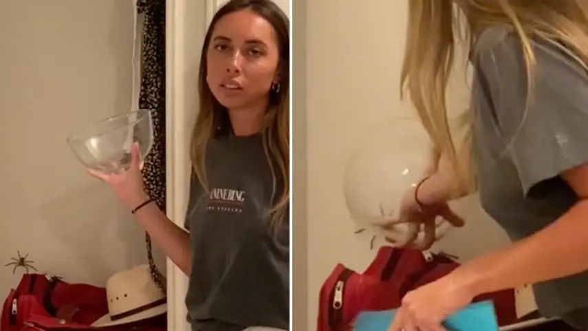 TikTok/chloebaradinsky