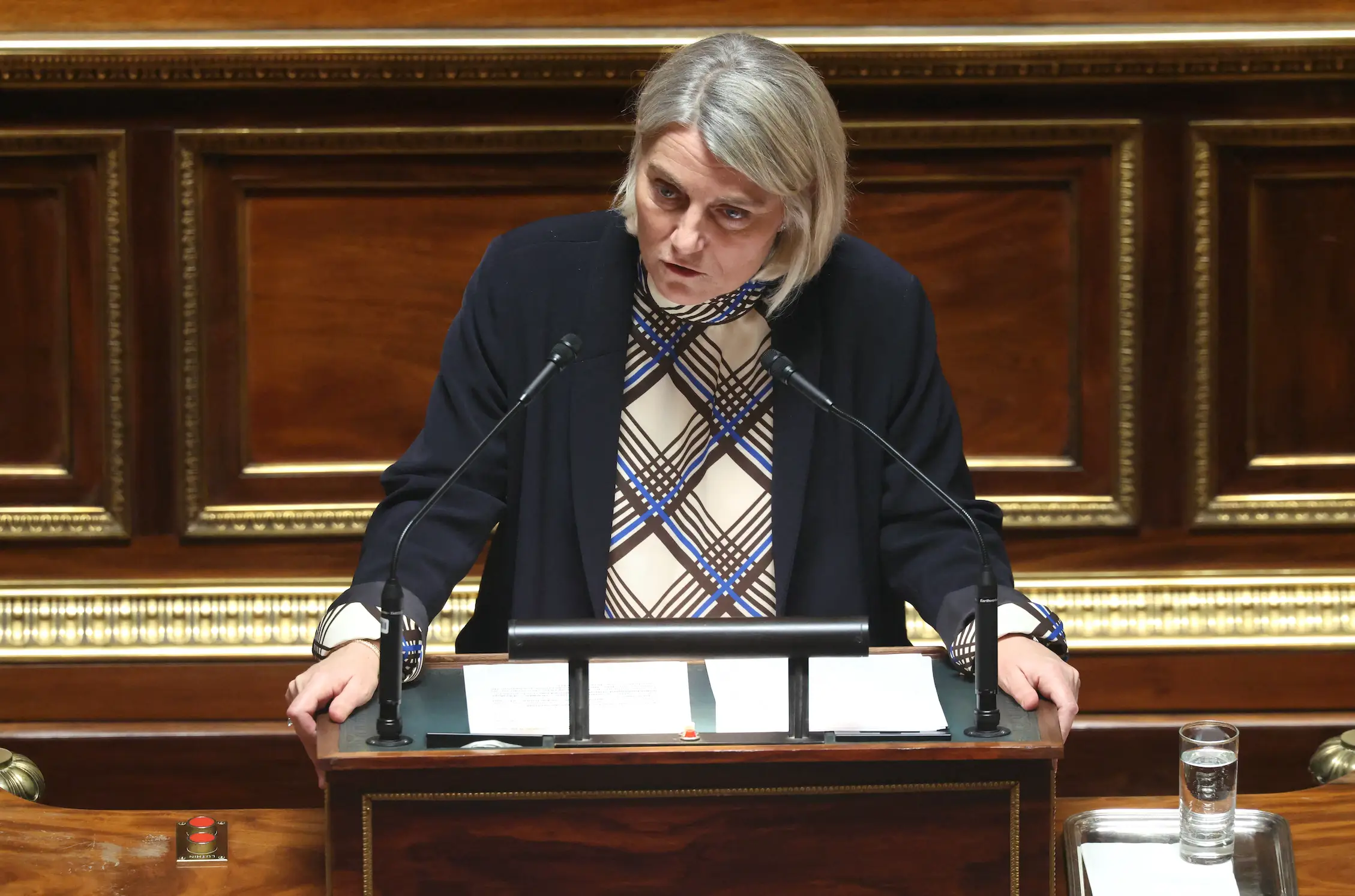 Stephanie Rist is leading the 16-point plan to 'tackle' declining birth rates (Alain JOCARD / AFP via Getty Images)