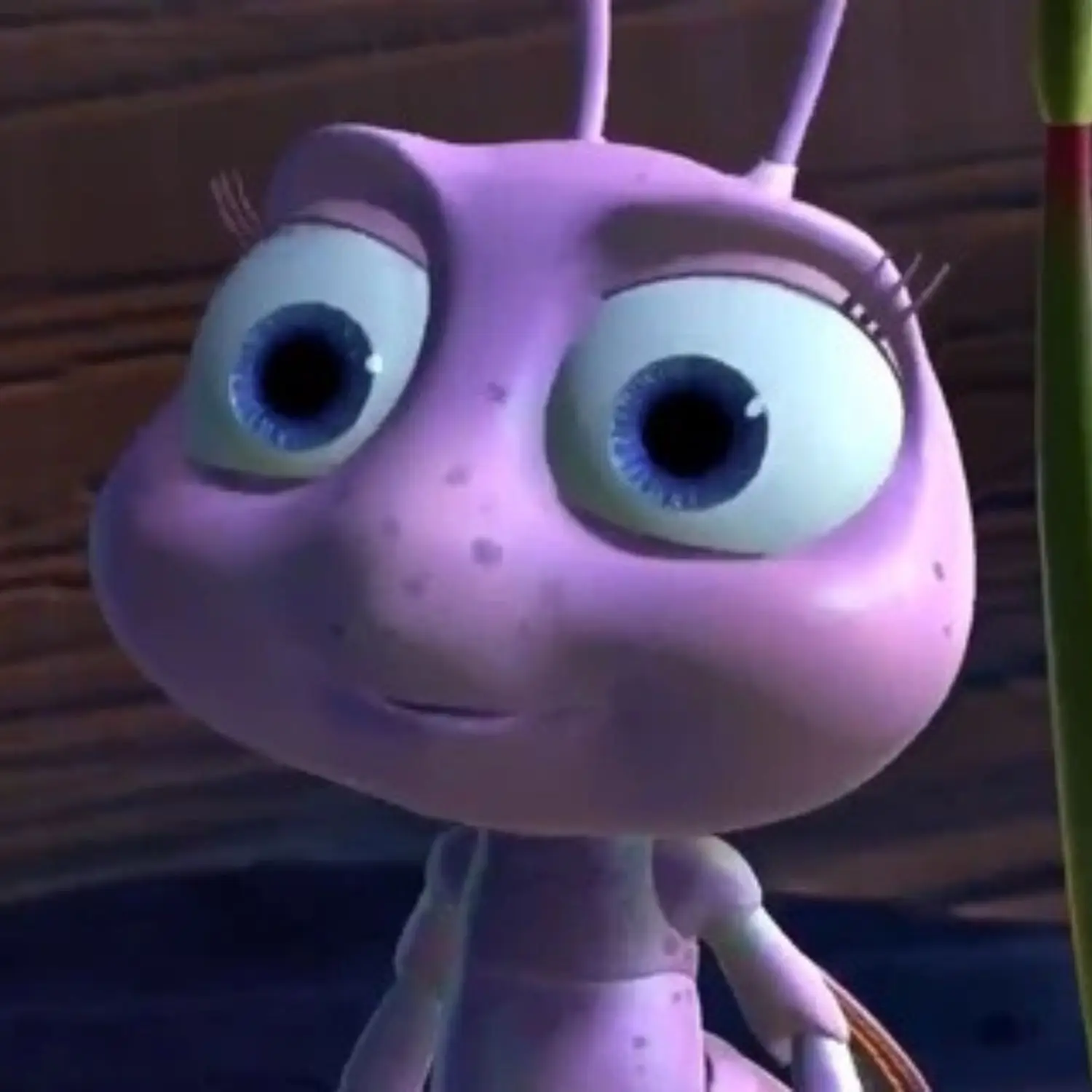 Hayden voiced Dot in A Bug's life (Disney Pixar)