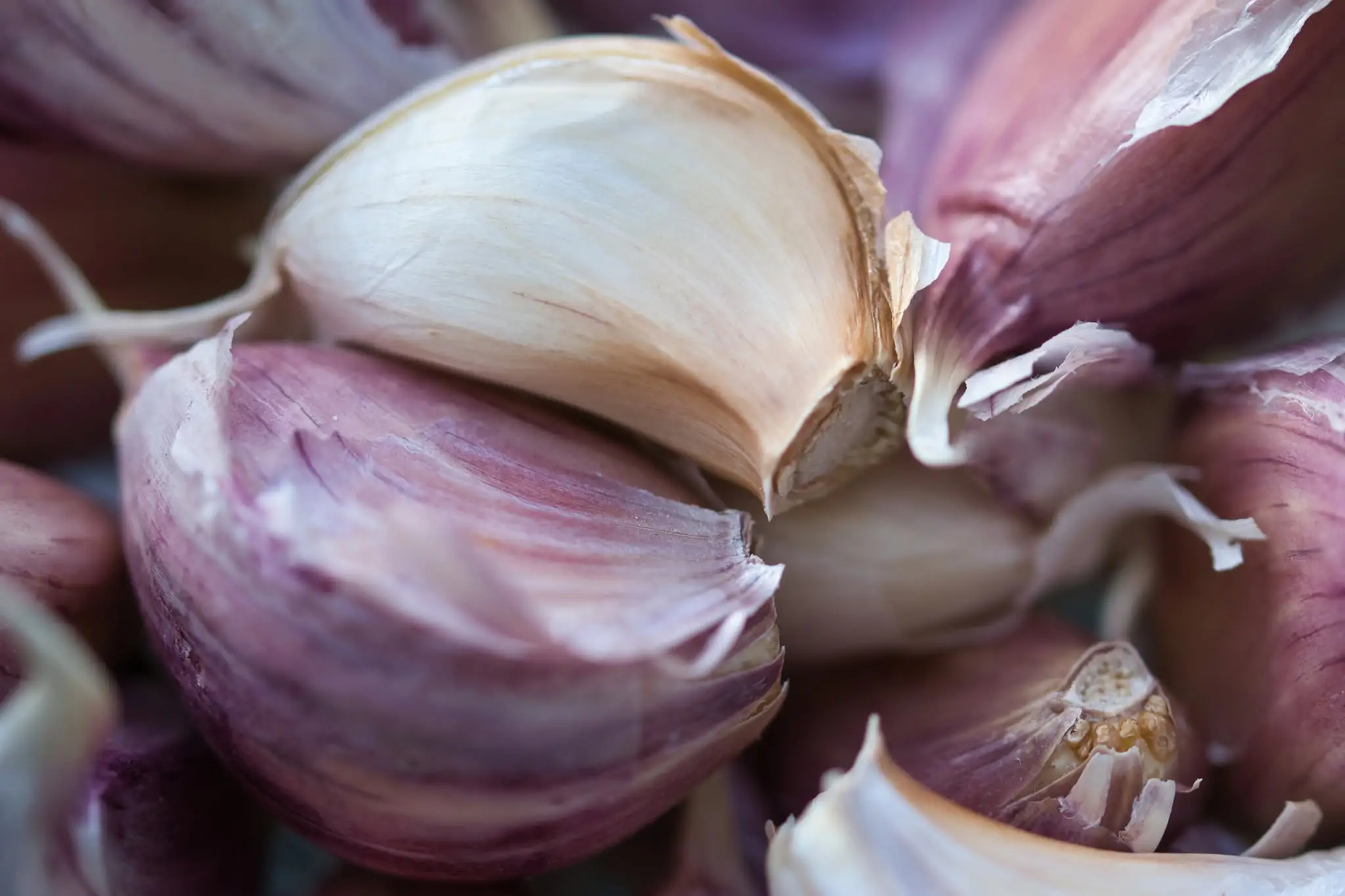 Smelly foods are bad for your breath (Getty Stock Image)