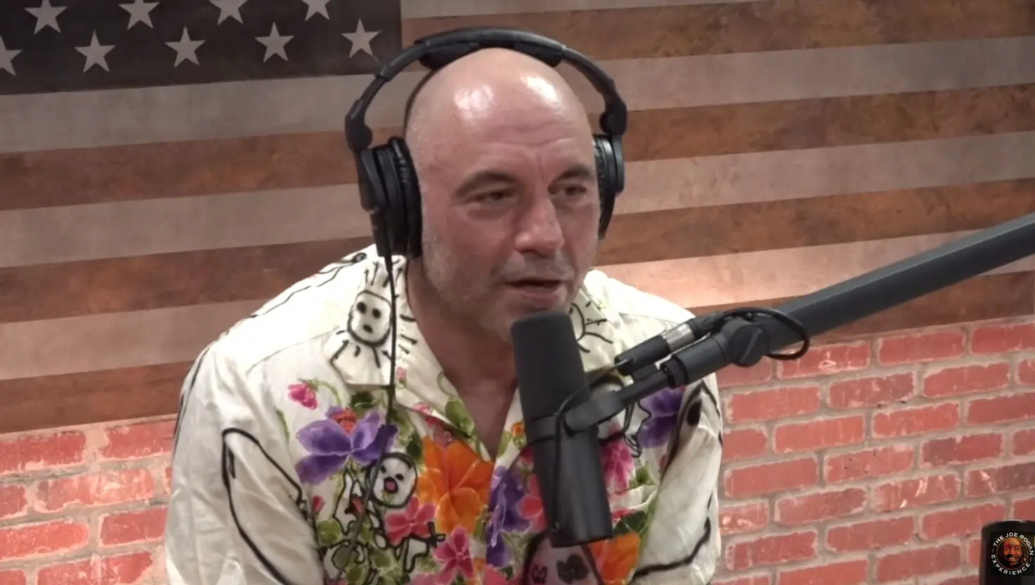 Joe Rogan laughed after hearing the clapback (The Joe Rogan Experience)