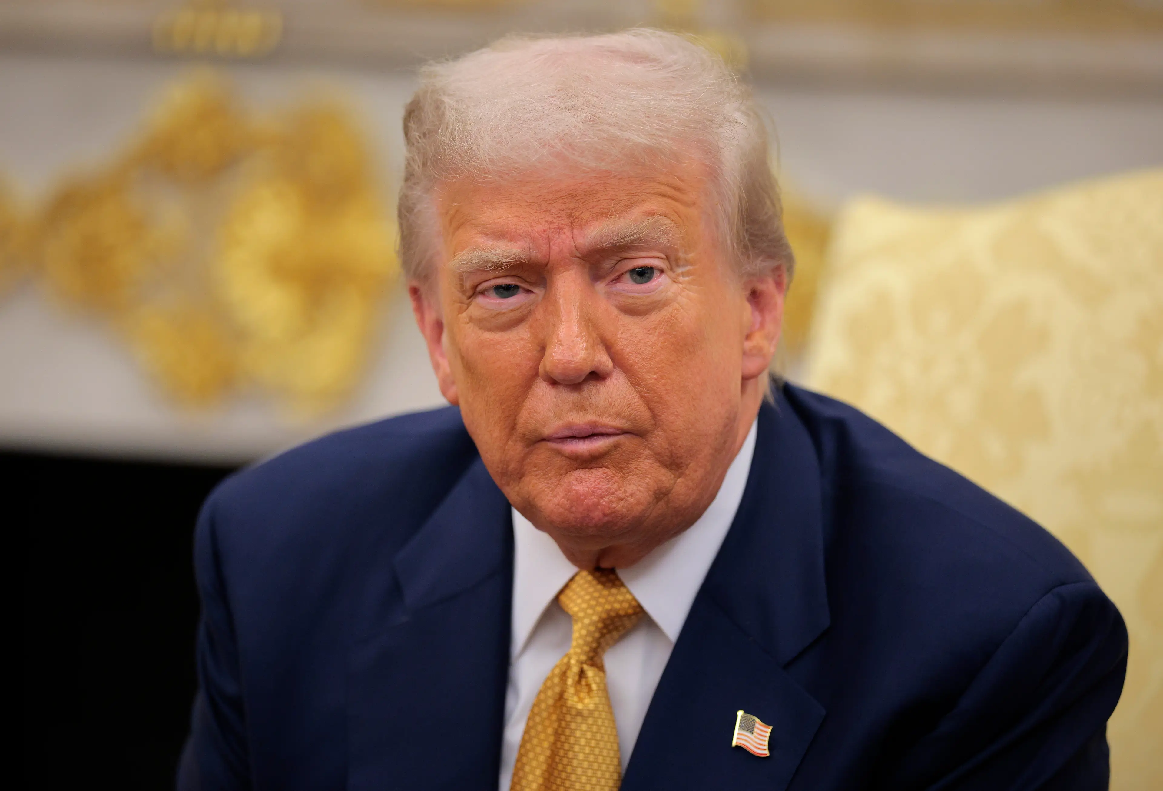 Hogan has publicly supported Trump, appearing at rallies and on the US election campaign trail last year (Chip Somodevilla/Getty Images)