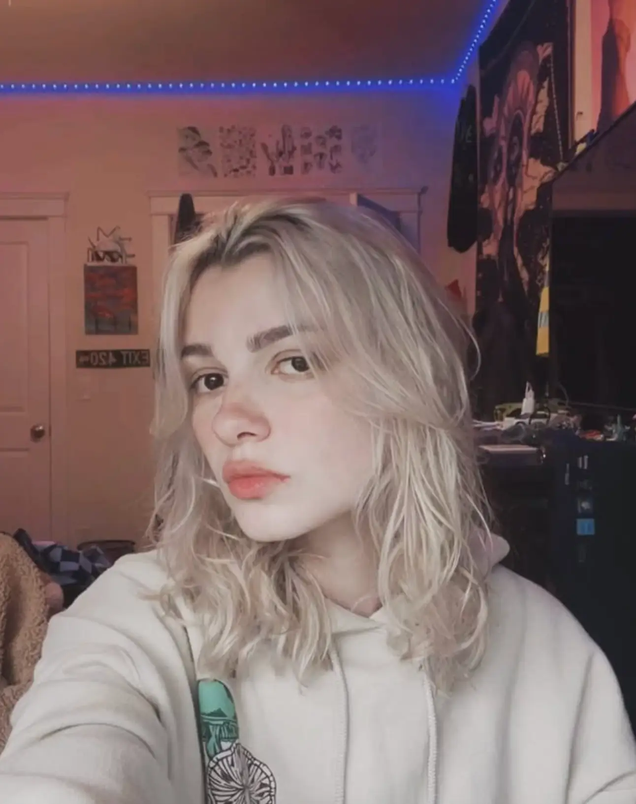 Iryna Zarutska was stabbed on board a train (instagram/@lucaveros225)