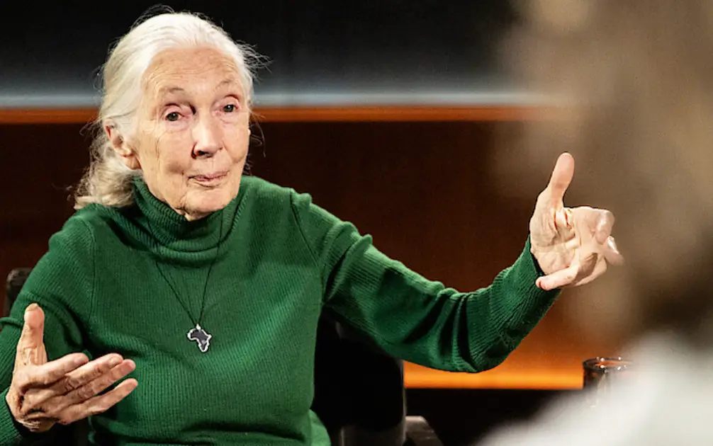 Dame Jane Goodall was the first to feature in Netflix's Famous Last Words (Netflix)