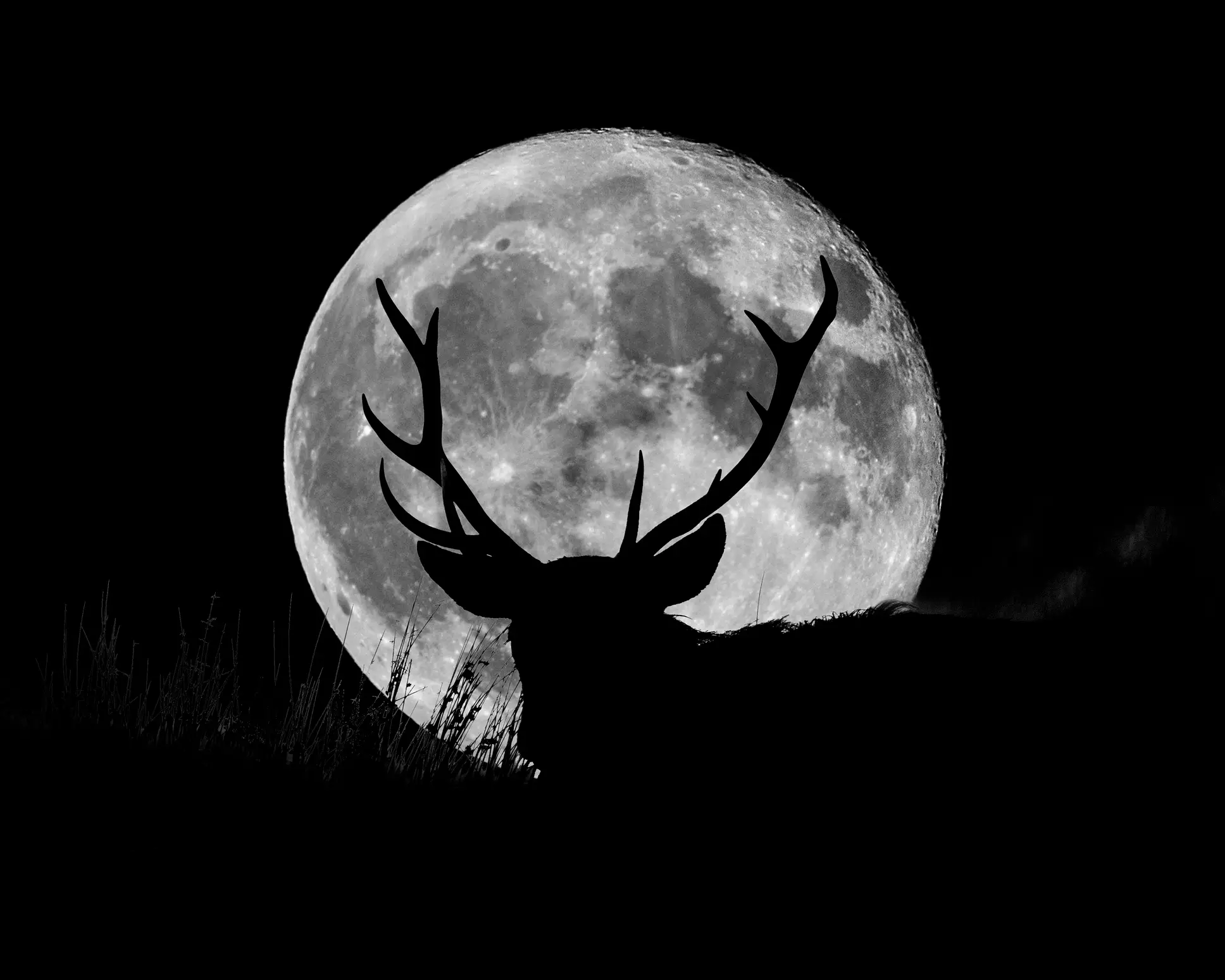 The Buck Moon will be visible this Sunday (21 July). (john finney photography / Getty Images)