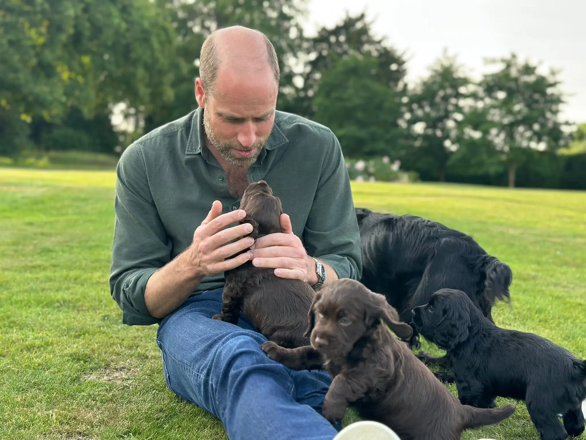 Kate Middleton shared this sweet snap of Prince William and their dog Orla and her puppies (X/@kensingtonroyal)