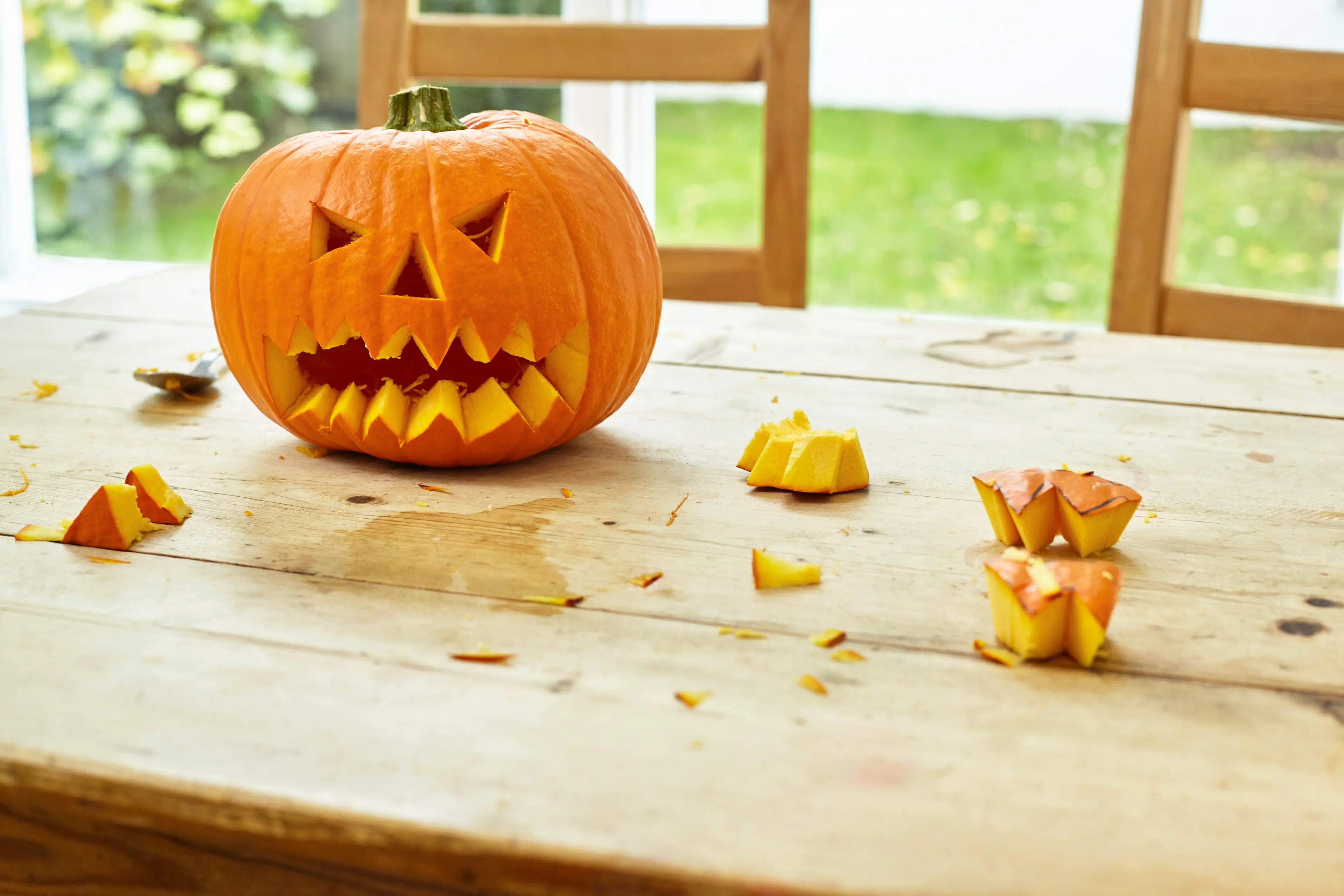 Pumpkins and Halloween go hand in hand but experts have issued a warning.(Bjarte Rettedal / Getty Images)