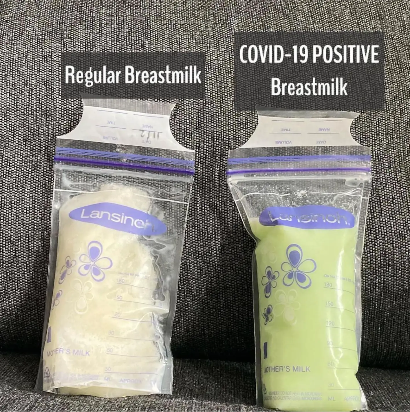 The milk had a distinct green tinge (