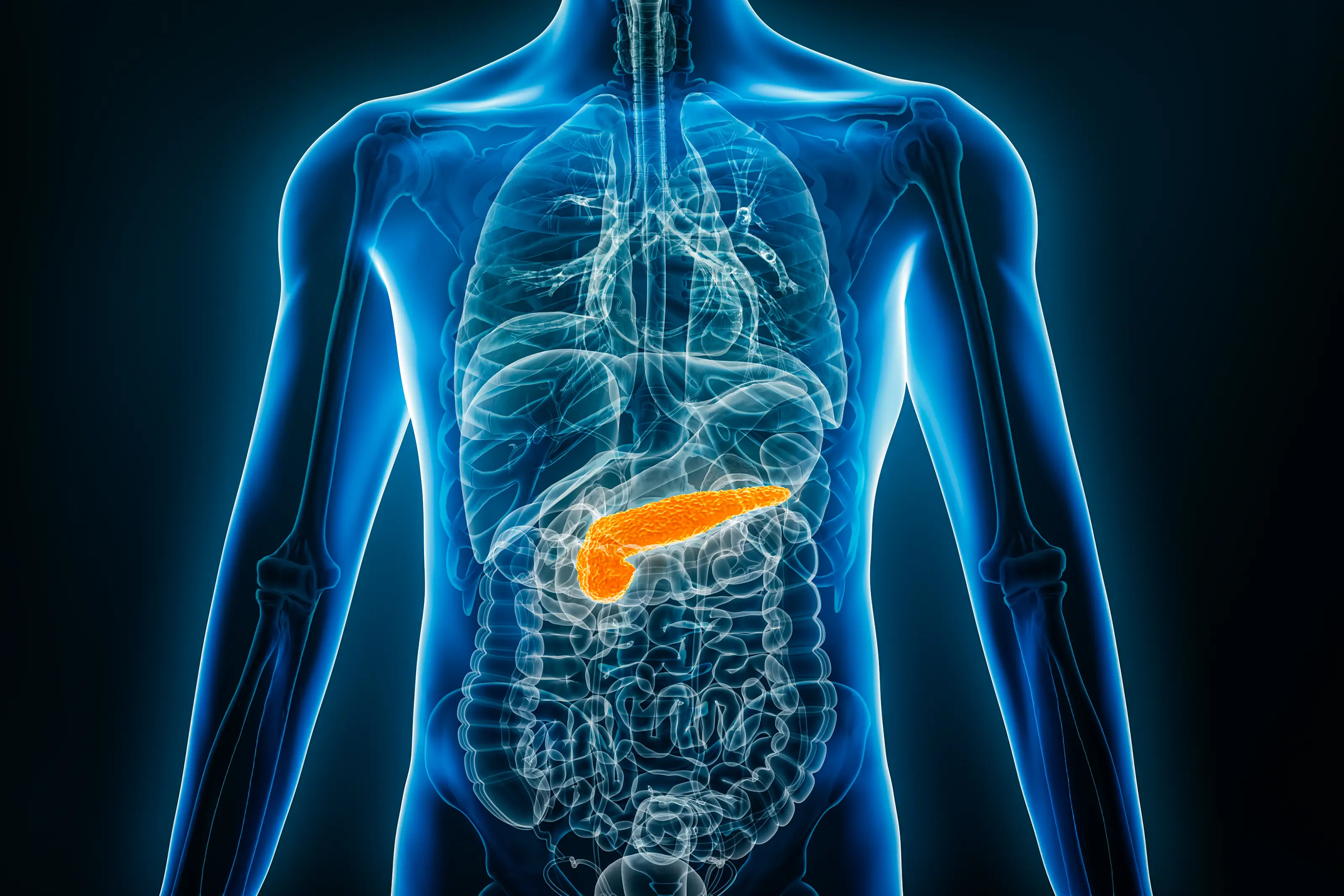 Pancreatitis describes the inflammation of the pancreas (Getty Stock Image)
