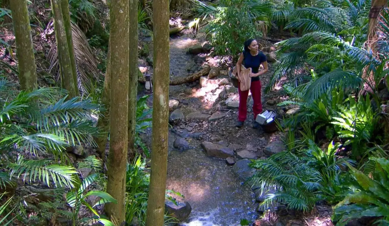 Tulisa was baffled to have lost Barry (ITV)