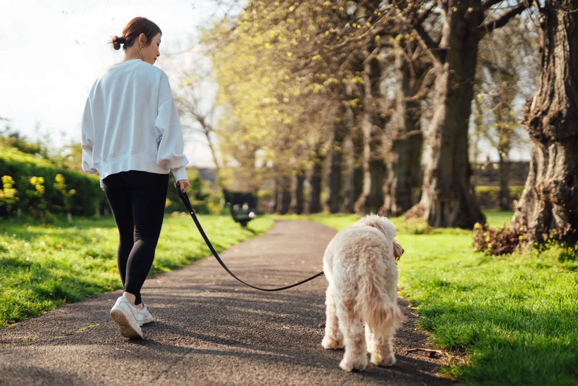 It’s important to remember to walk your dog early in the morning or in the evening when the ground is cooler on their paws (Getty Stock Images)