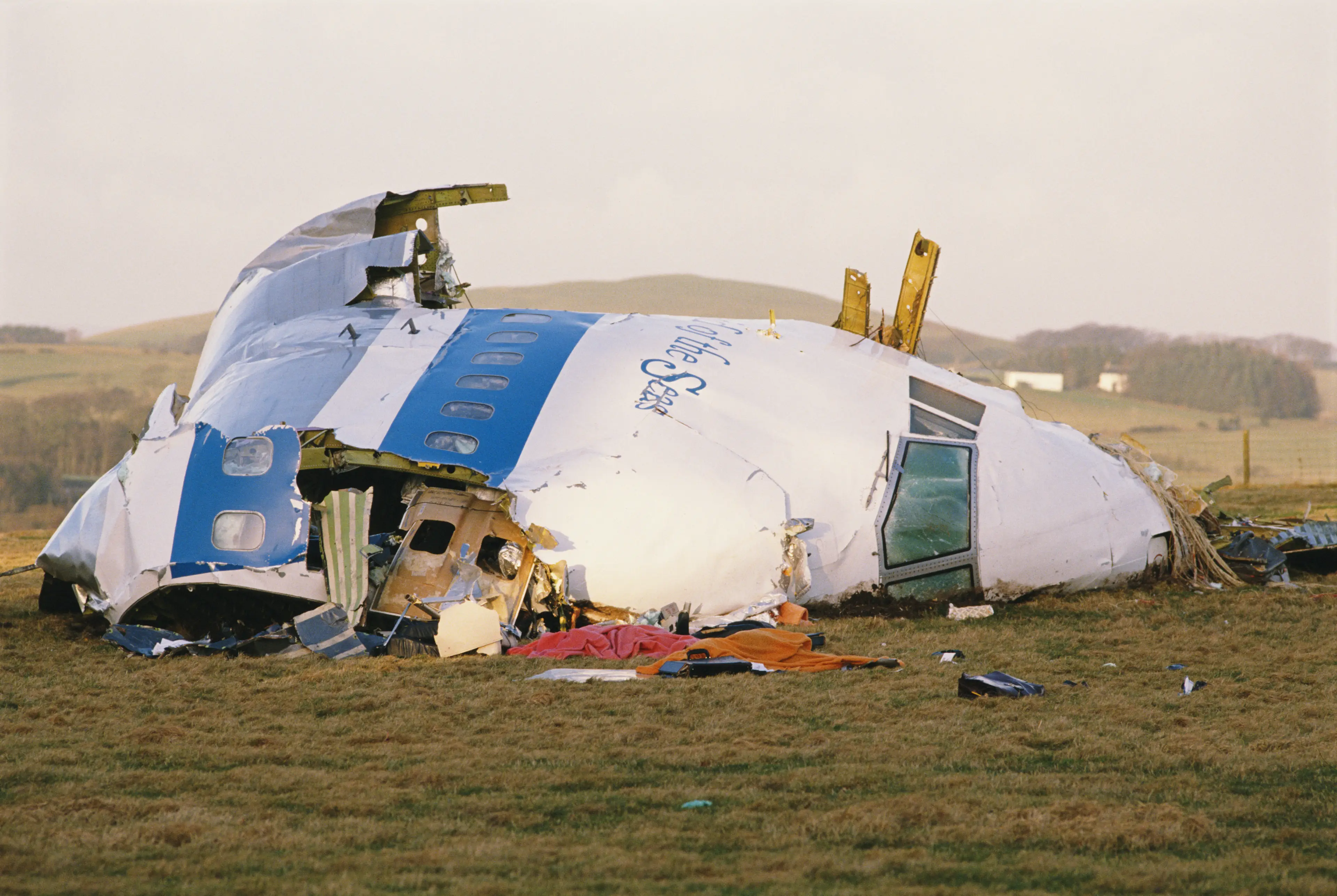 All 243 passengers were killed (Bryn Colton/Getty Images)