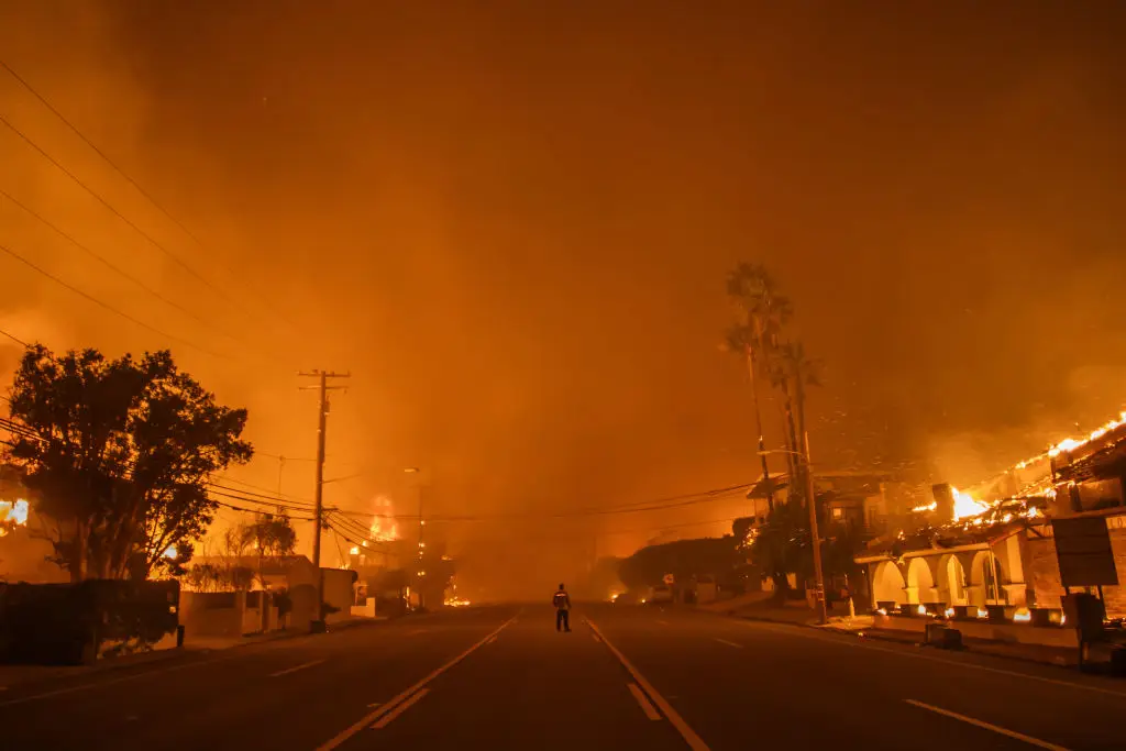 The wildfires spread across California in January (Apu Gomes/Getty Images)