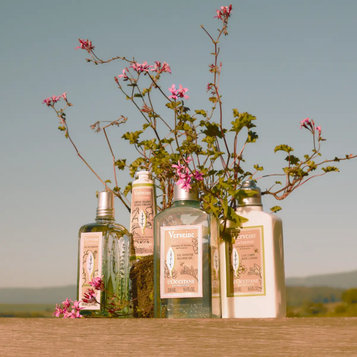 There are also a number of complementary Verbena Geranium products to choose from.