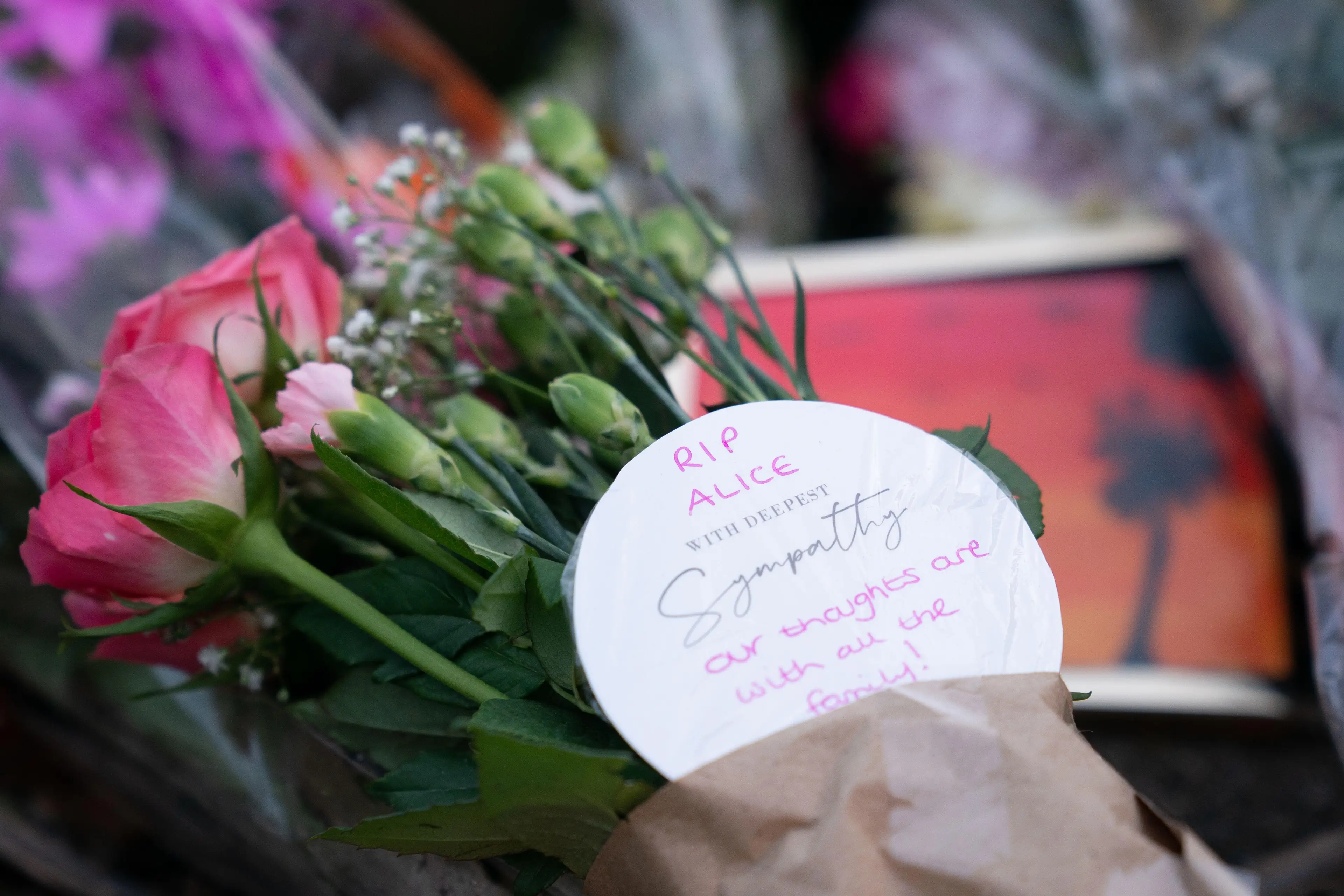 Alice Stones was killed by her dog in her garden.