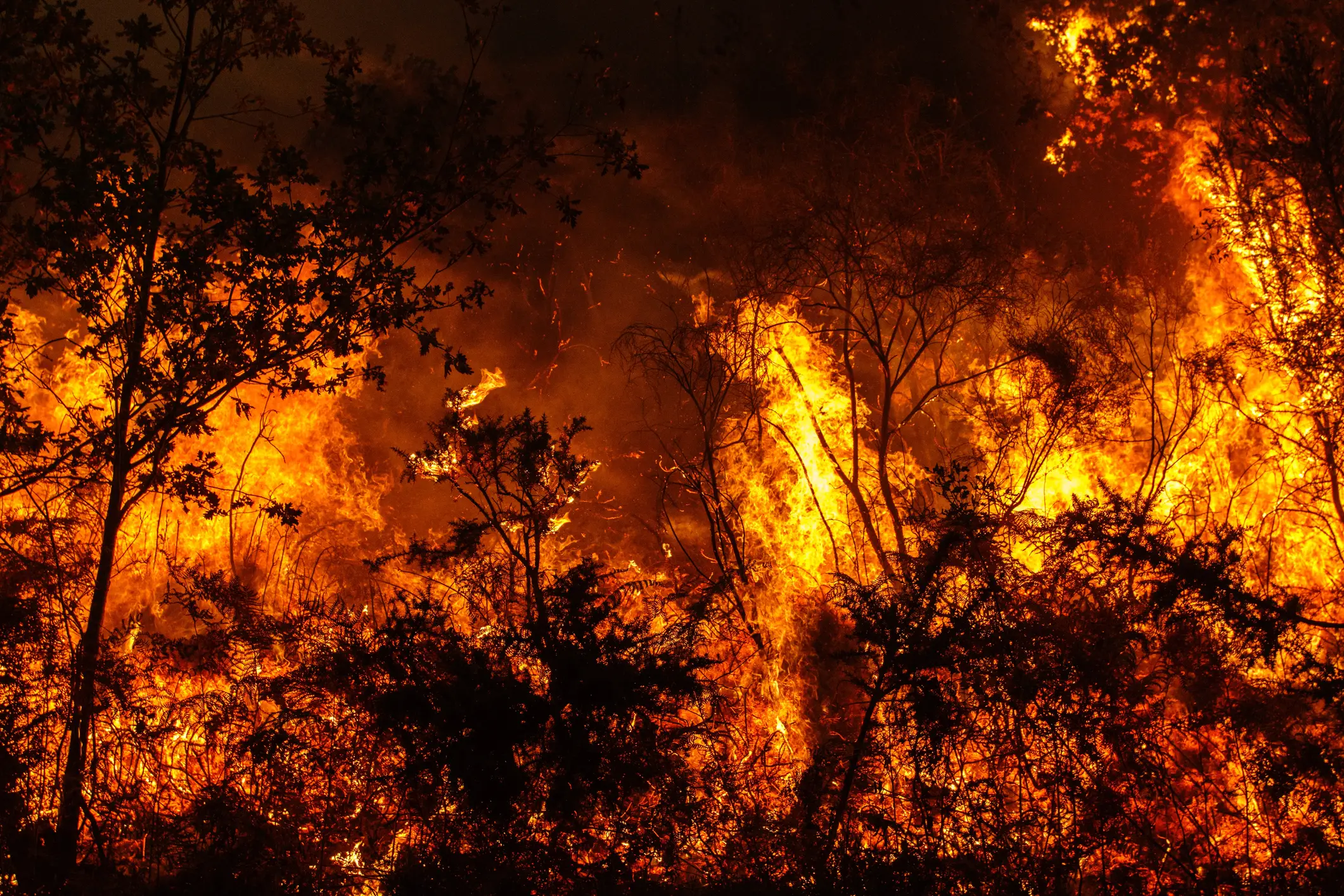 Super El Niños can have environmental consequences (Getty Stock Photo)