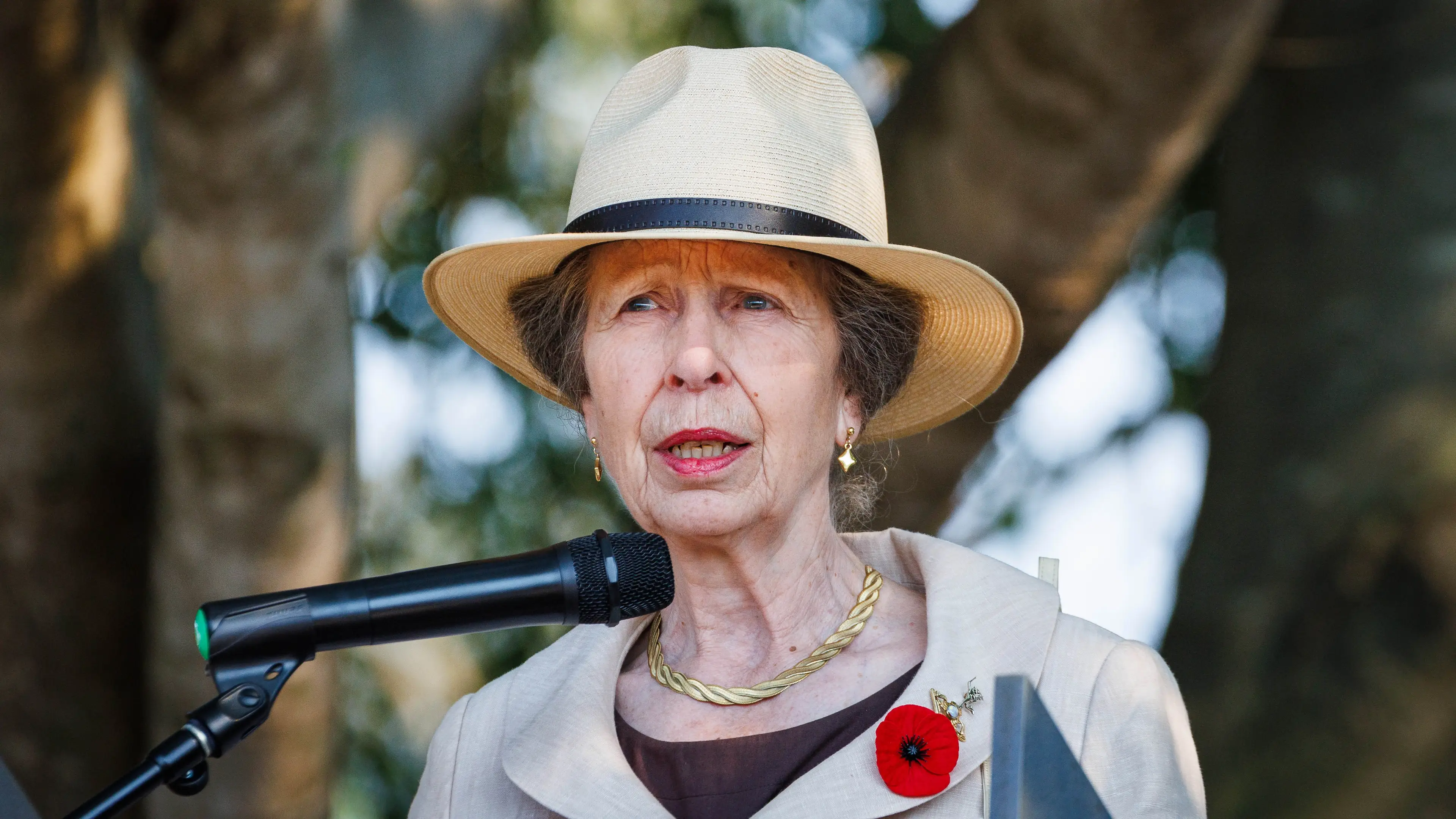 Patrick Hamilton-Pool/Getty Images