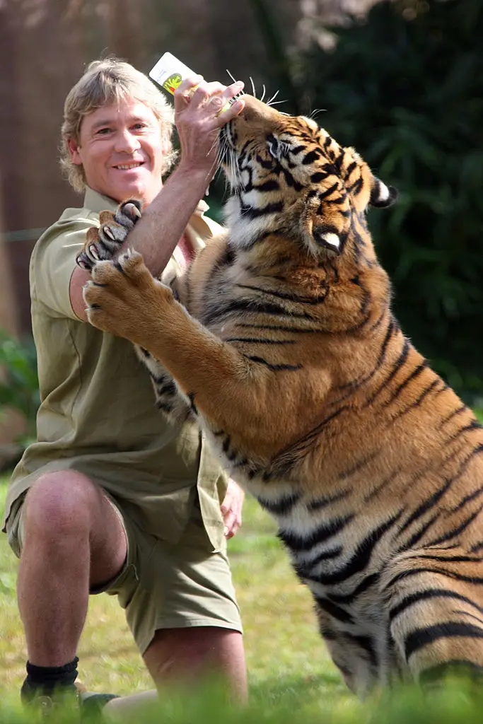 The wildlife conservationist died aged 44 in 2006 (Handout/Getty Images)