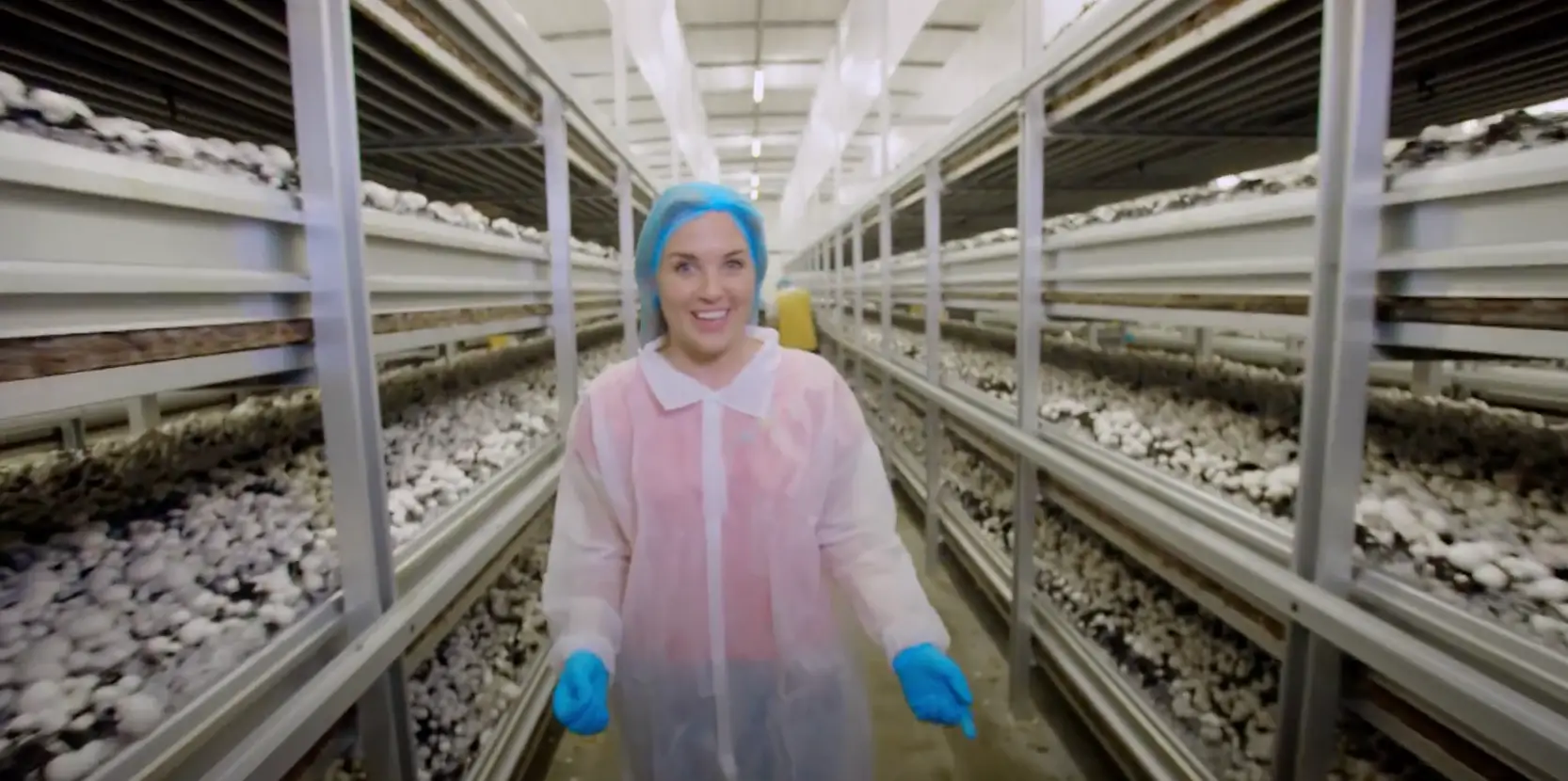 They're grown indoors on shelves (CBeebies/BBC)