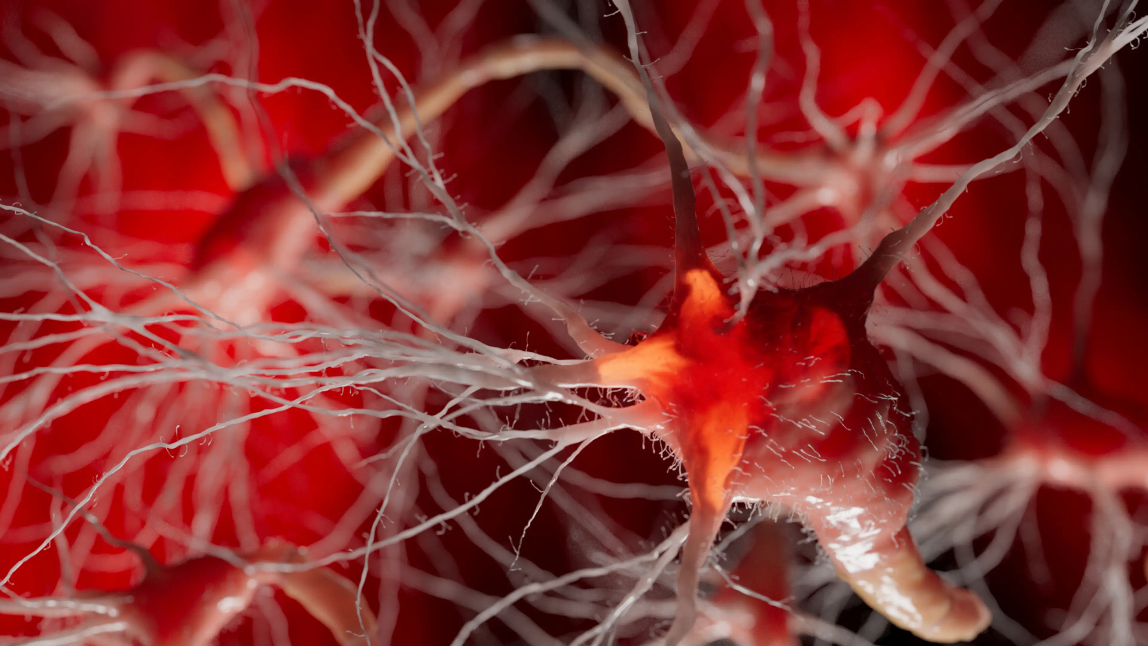 Amyotrophic lateral sclerosis (ALS) is a rare degenerative disease which causes muscle weakness (Getty Stock Images)