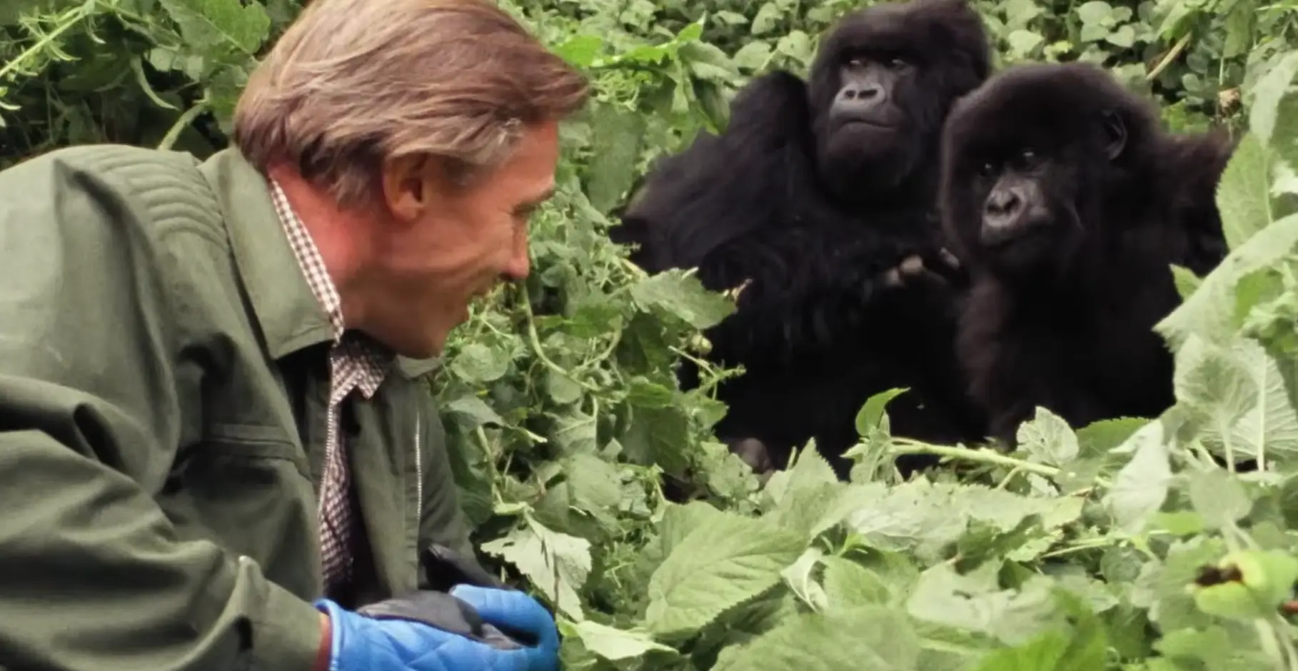 Attenborough described the moment as the most memorable of her career (BBC)
