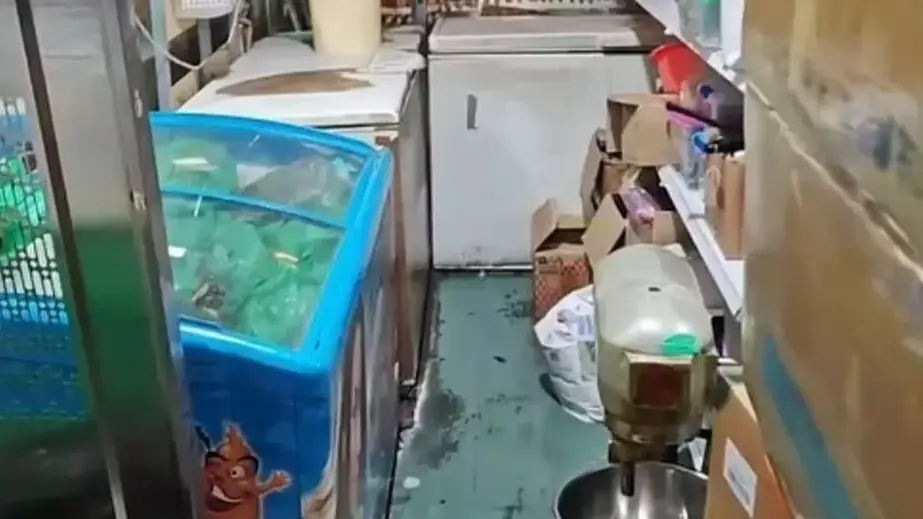 Spanish restaurant shut down after 'roast duck' dish turned out to be street pigeon 