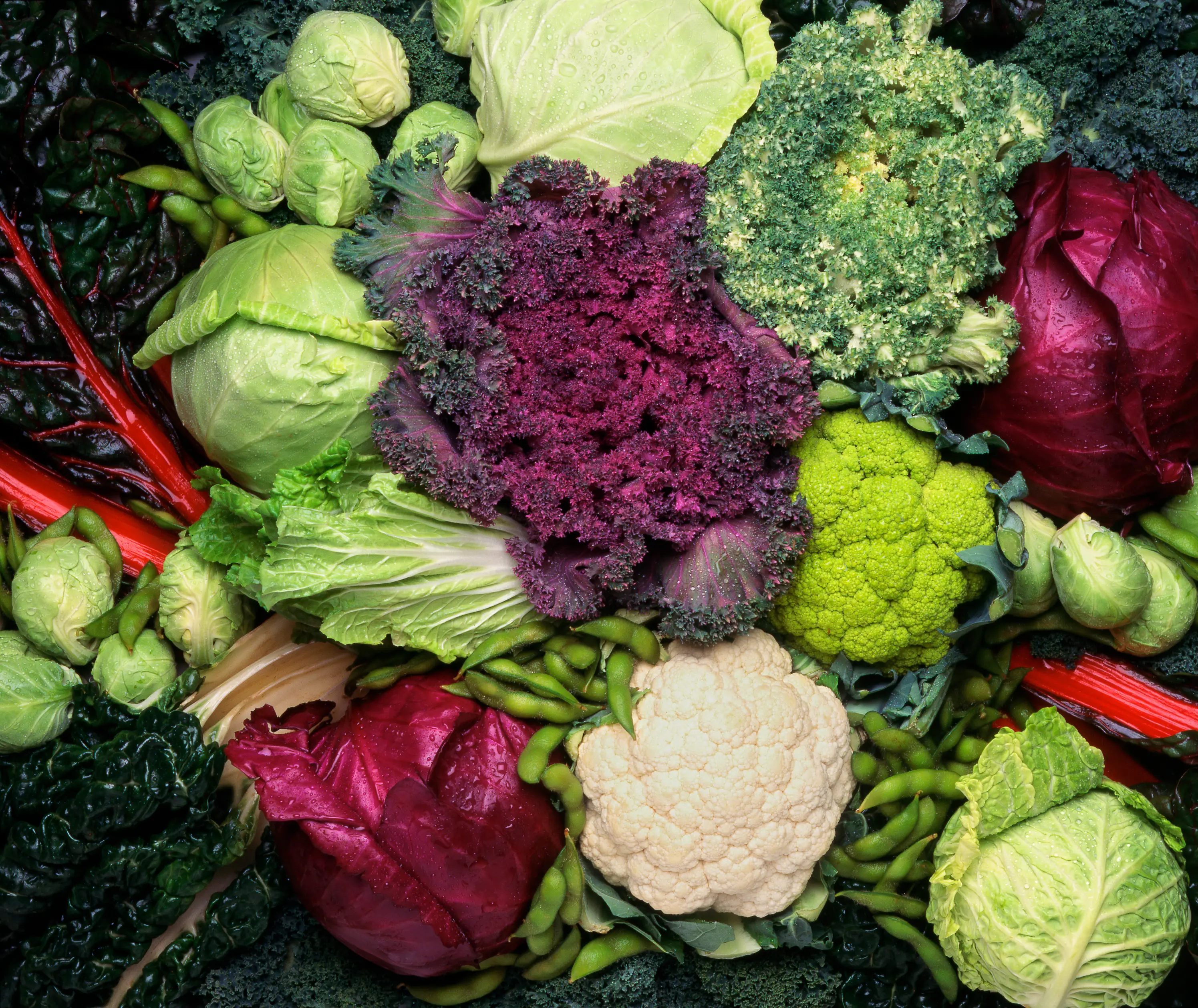 Gas-forming veg are a no-go too (DNY59/Getty Images)