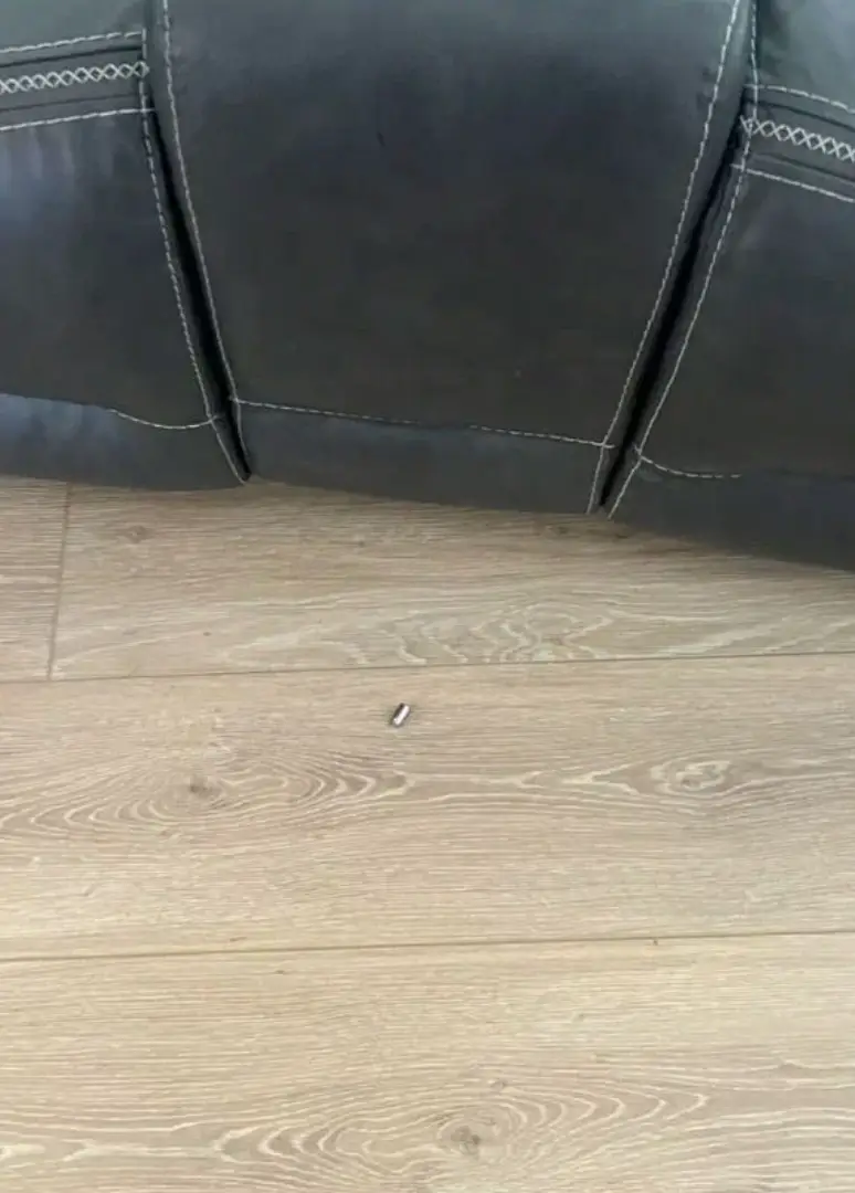 (Facebook/We Rate Dogs)