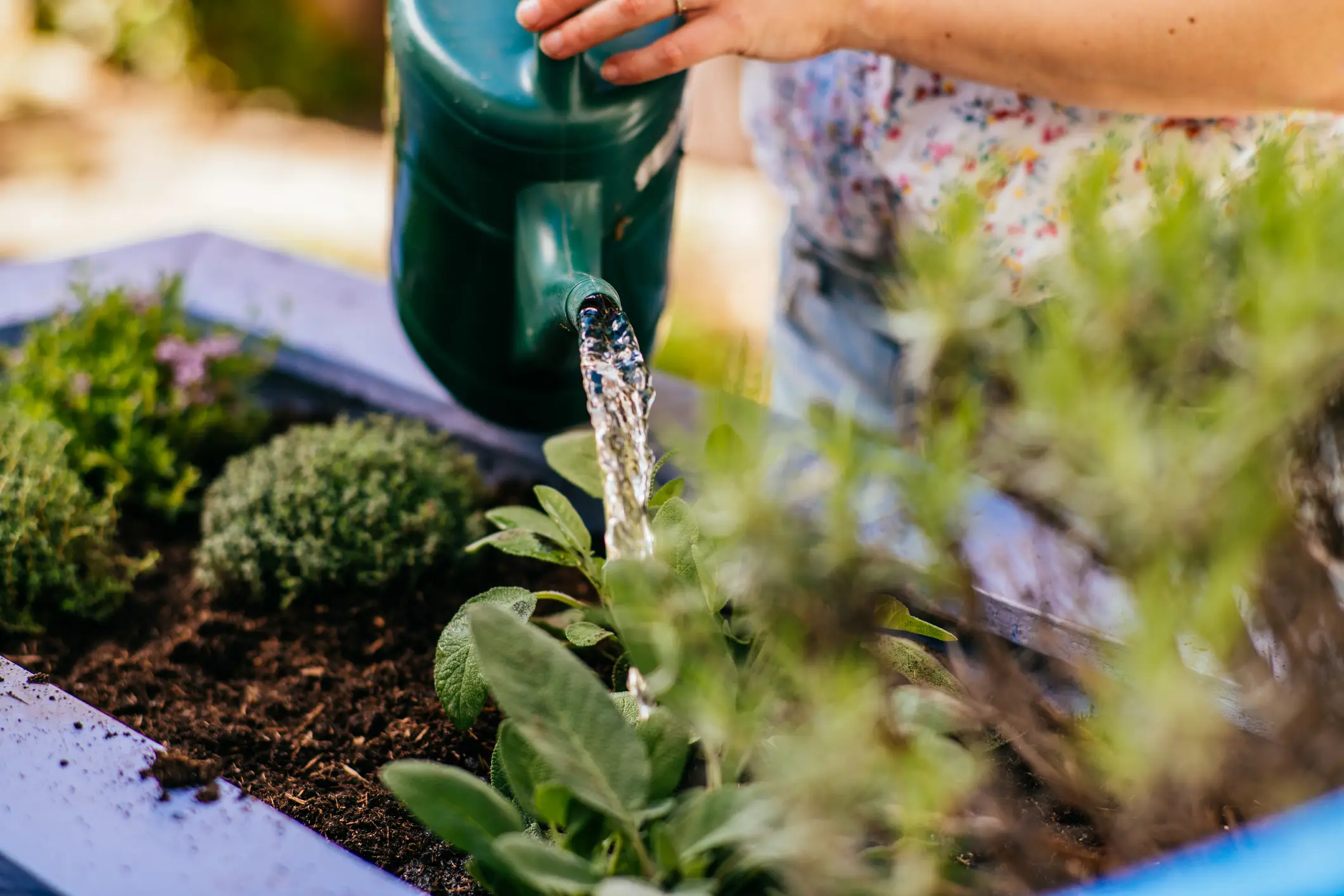Gardeners (unless exempt) will now have to rely on watering cans (Getty Stock)