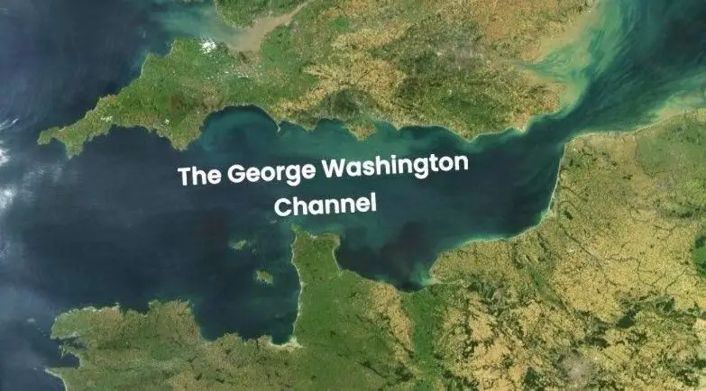 Musk took to Twitter to share his thoughts (X/@elonmusk)