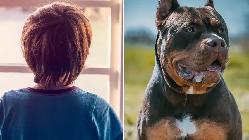 Christopher Hopefitch/Wirestock/Getty Images