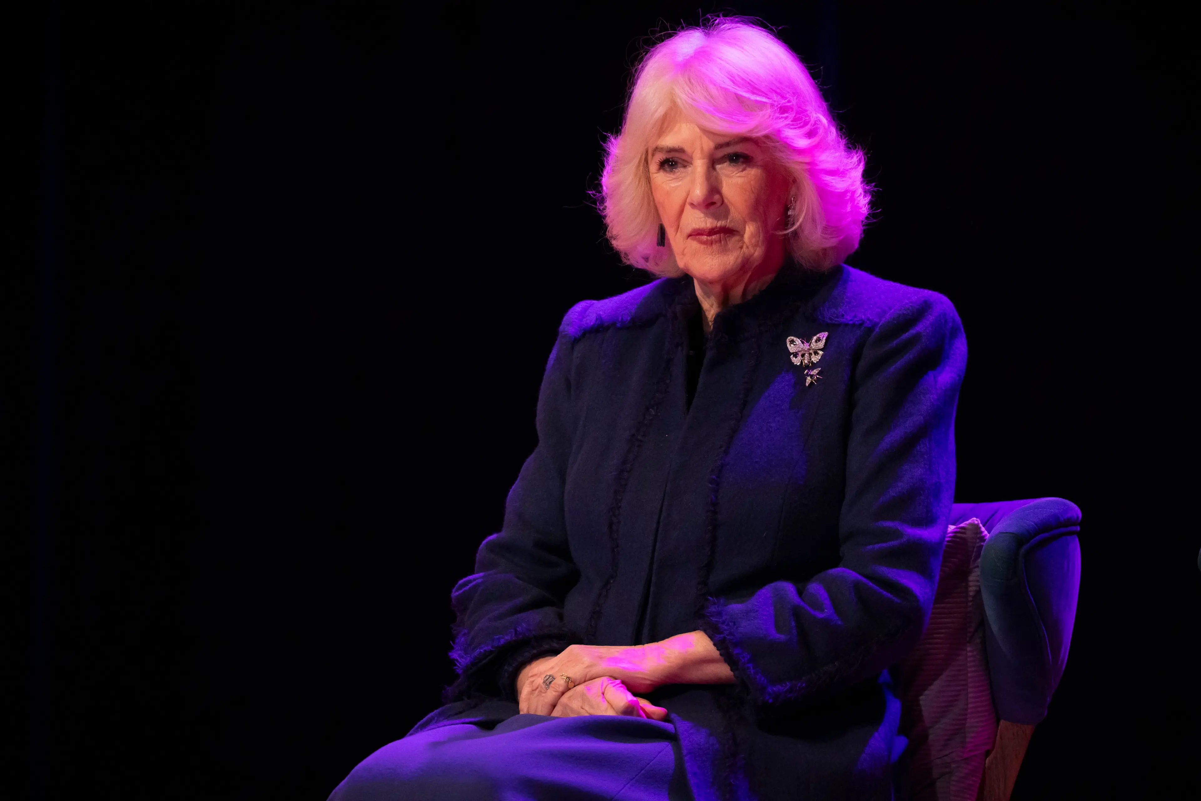 Royal fans were happy to see Queen Camilla engaging in public appearances (James Glossop - WPA Pool/Getty Images)