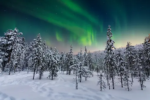 Anton Petrus/ Getty Images (stock image)