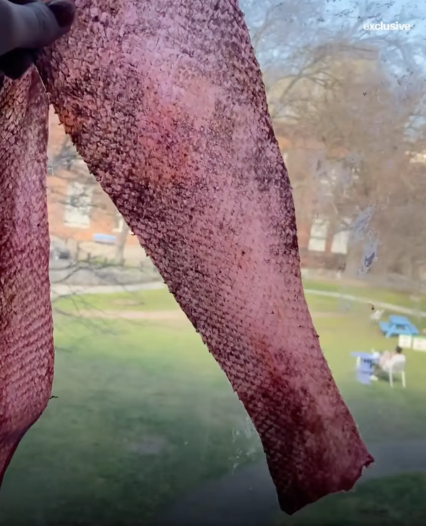 Isabelle uses fish skin that is thrown away by fishmongers.