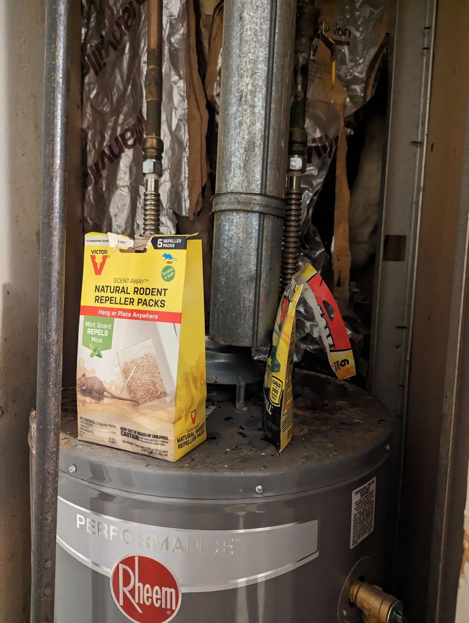 Melanie found 'mouse droppings' and some rodent repellant in the property.