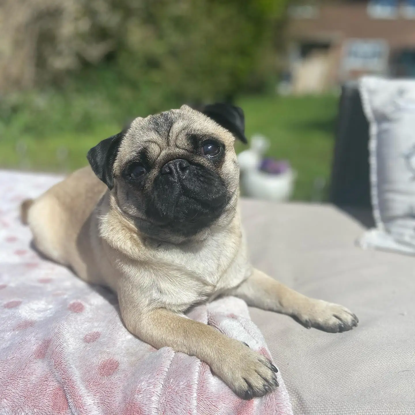 It was one of the hottest days of the year.